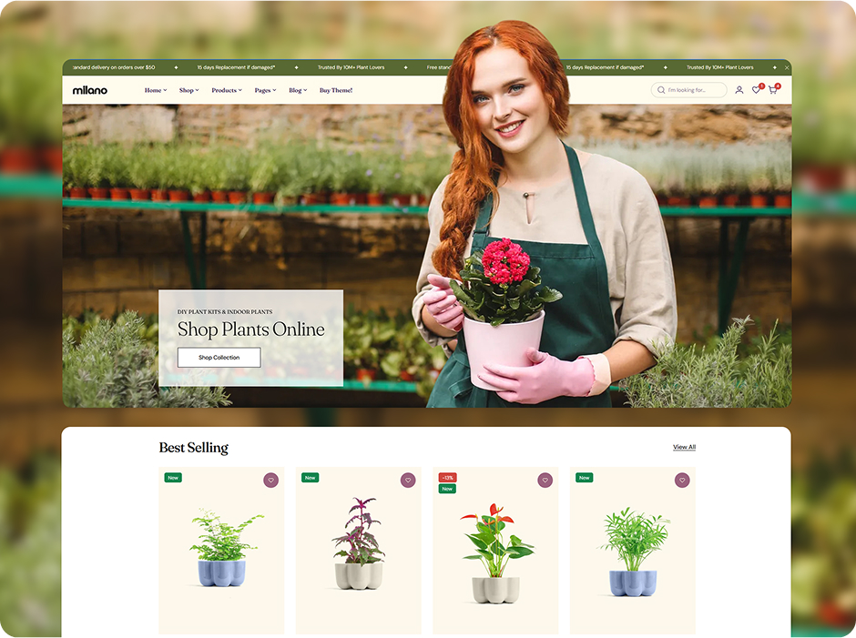 Plant Haven
